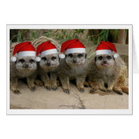 Have a Meerkat Christmas! Greeting Card