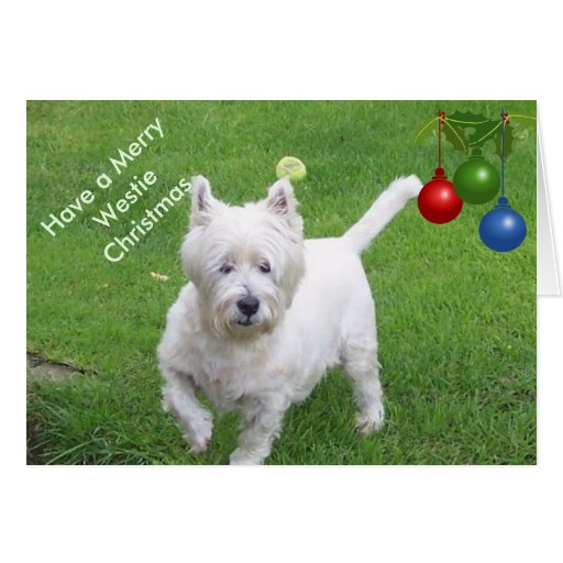 Have A Merry Westie Christmas Card Zazzle