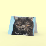Have a nice day - Cat greeting card