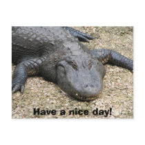 Have a nice day! postcards by dduhaime55 Have a nice day! postcards