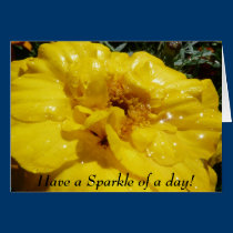 Have a Sparkle of a day! cards