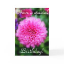 Have a special Birthday! cards by princessklb07 Have a special Birthday! cards