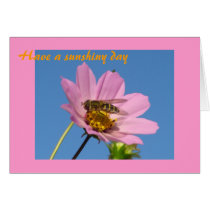 Have a sunshiny day cards by Rainmountain Have a sunshiny day cards