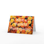 Have a thankful Thanksgiving! cards