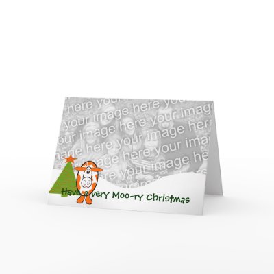Have a Very Moo-ry Christmas - - Greeting Card by samack