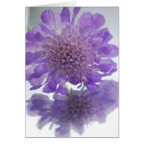 Have a wonderful day! cards