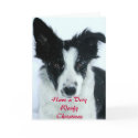 Have a Woofy Christmas cards by cprheart Have a Woofy Christmas cards