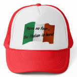Have No Fear the Italian is Here Have No Fear the Italian is Here
