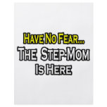 Have No Fear...The Step-Mom Is Here flyers