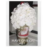 HAVE ONE ON ME! letterhead