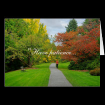 Have patience... cards