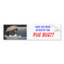 Have you beenbitten by the, PUG BUG?? Bumper Sticker