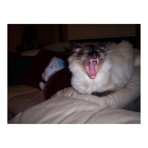 Have you had your kitty's teeth cleaned lately? posters by LABoston Have you had your kitty's teeth cleaned lately? posters