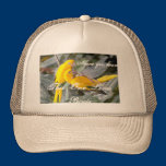 Have you heard this one loves Birds  Mom's Hat hats