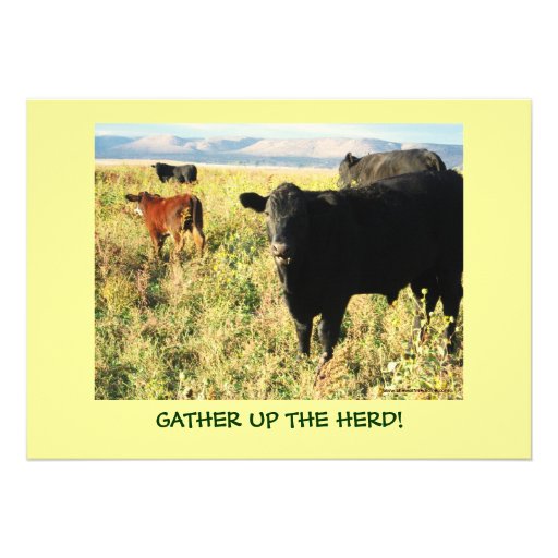 Have You Herd? Cattle Calves Western Party Shower Announcements
