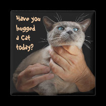 Have you hugged a Cat today? magnets