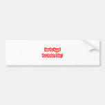 Have You Hugged Your Grandson Today? Bumper Sticker