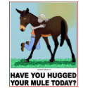 Have you Hugged Your Mule Today? shirt