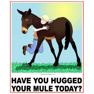 Have you Hugged Your Mule Today? tshirts