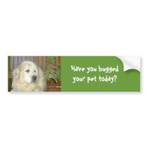 Have you hugged your pet today? bumper stickers by Stephanie41 Have you hugged your pet today? bumper stickers