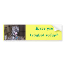 Have you laughed today? bumper stickers