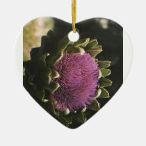 Have You Measured ornaments