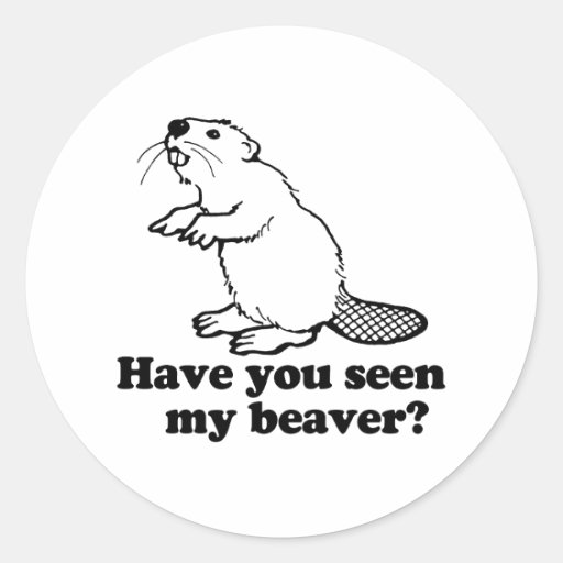 HAVE YOU SEEN MY BEAVER STICKER
