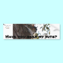 Have You Seen My Nuts? bumper stickers