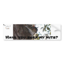 Have You Seen My Nuts? bumper stickers