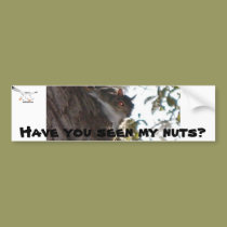 Have You Seen My Nuts? bumper stickers