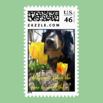 Have you taken the time to....? postage