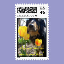 Have you taken the time to....? stamps