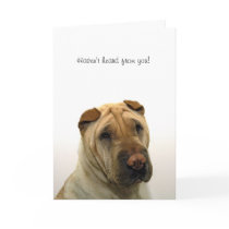 Haven't heard from you cards by pshaw_photo Haven't heard from you cards