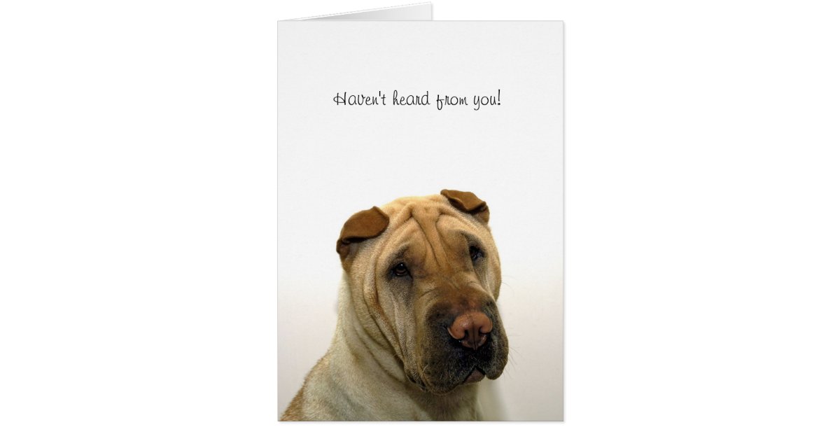 Haven #39 t heard from you card Zazzle