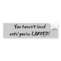Haven't Lived Until You've Larped Bumper Sticker bumper stickers