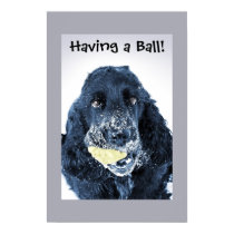 Having a Ball! posters