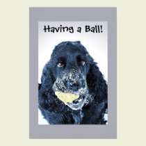 Having a Ball! posters