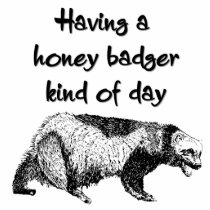 Having a honey badger kind of day acrylic cut outs
