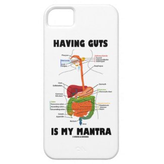 Having Guts Is My Mantra (Digestive System) iPhone 5 Cases