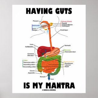 Having Guts Is My Mantra (Digestive System) Poster