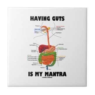 Having Guts Is My Mantra (Digestive System) Tile