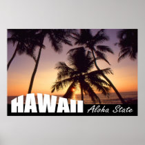 Hawaii Aloha State USA Travel Poster