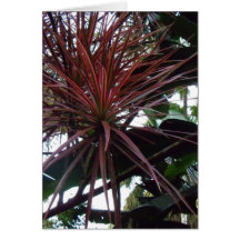 Hawaii Botanical Garden Card