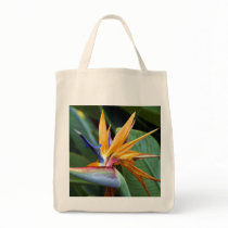 Hawaii botanicals 28 bags