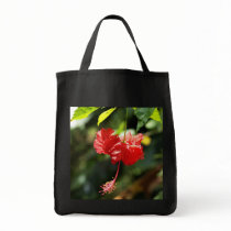 Hawaii botanicals 9b bags by StephenBoyle Hawaii botanicals 9b bags