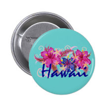Hawaii button