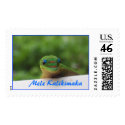 Hawaii Christmas stamp by Rebecca_Reeder Hawaii Christmas stamp