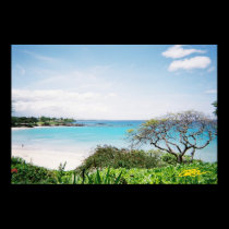 Hawaii Dreams posters