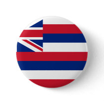Hawaii Flag Pinback Button