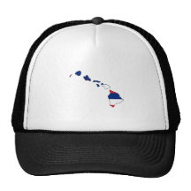 Hawaii Flag Map Mesh Hat
